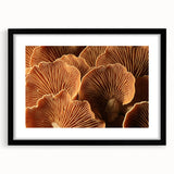 Extra large abstract art print featuring textured, colorful florals in a black frame, ideal for living room decor.