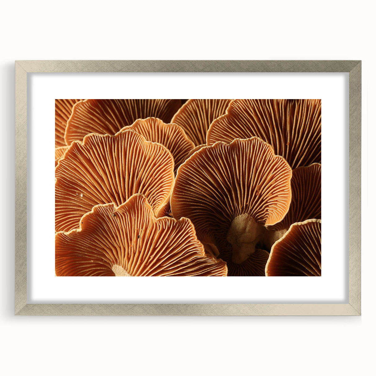 Textured abstract art print featuring soft pink and gray floral designs on a silver-framed canvas.