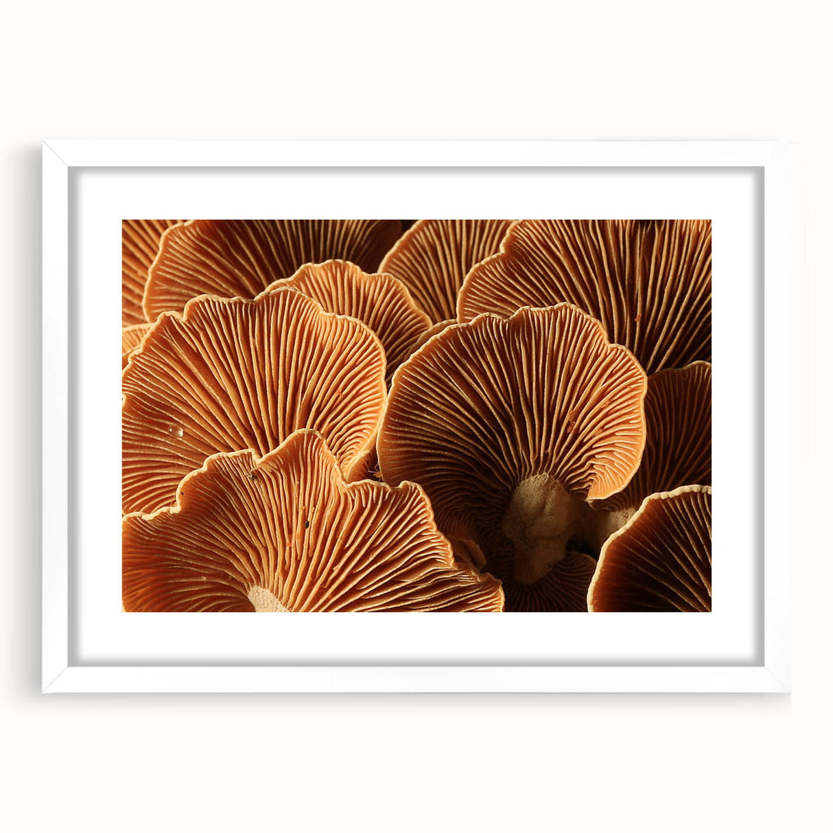 Abstract art print of floral designs in soft pastel shades on a white framed canvas.