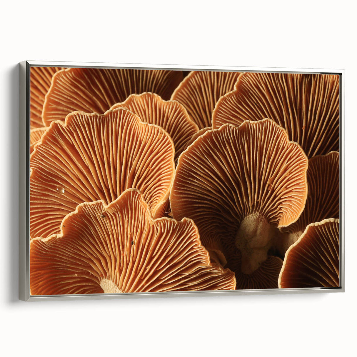 Framed canvas featuring a vintage landscape art painting of colorful florals against a black background.