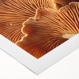 Art deco poster featuring close-up of florals in subdued pastel shades on rolled canvas.