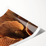 Extra large wall art featuring line art flowers in black and white on a rolled canvas, suitable for large living room decor.