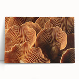 Black and white floral close-up on large stretched canvas, ideal for kitchen wall art or bedroom ambiance.