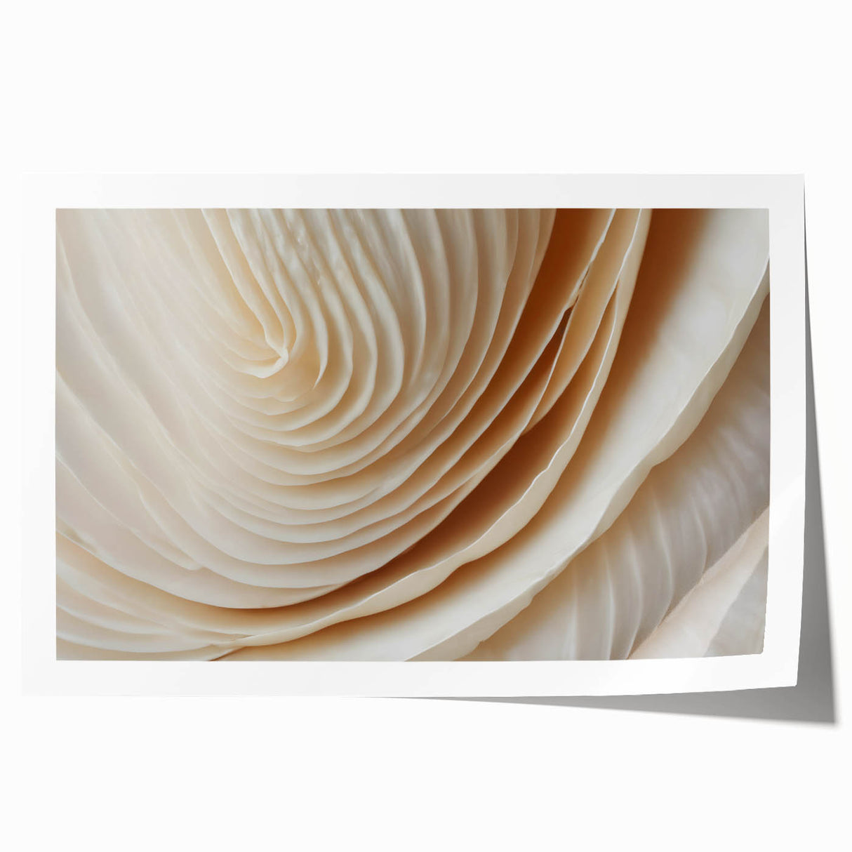Close-up floral art on a rolled print featuring soft pink and green tones, suitable for dining room or bathroom decor.