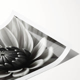 Extra large wall art featuring line art flowers in black on white, ideal for large living room wall decor.