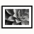 Extra large abstract art print featuring vibrant, textured florals on a black framed canvas, suitable for living room decor.