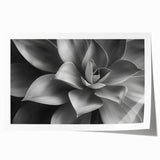 Close-up floral print on rolled canvas, featuring soft pastel colors.
