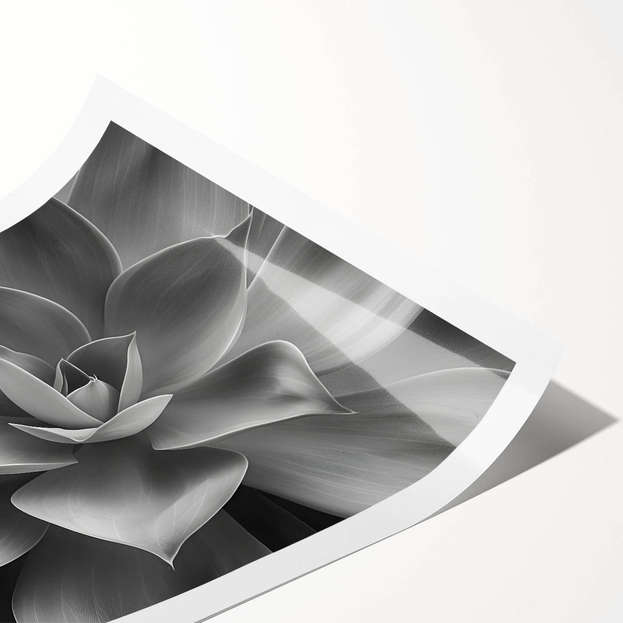 Extra large wall art featuring a line art design of flowers in black on a white background.