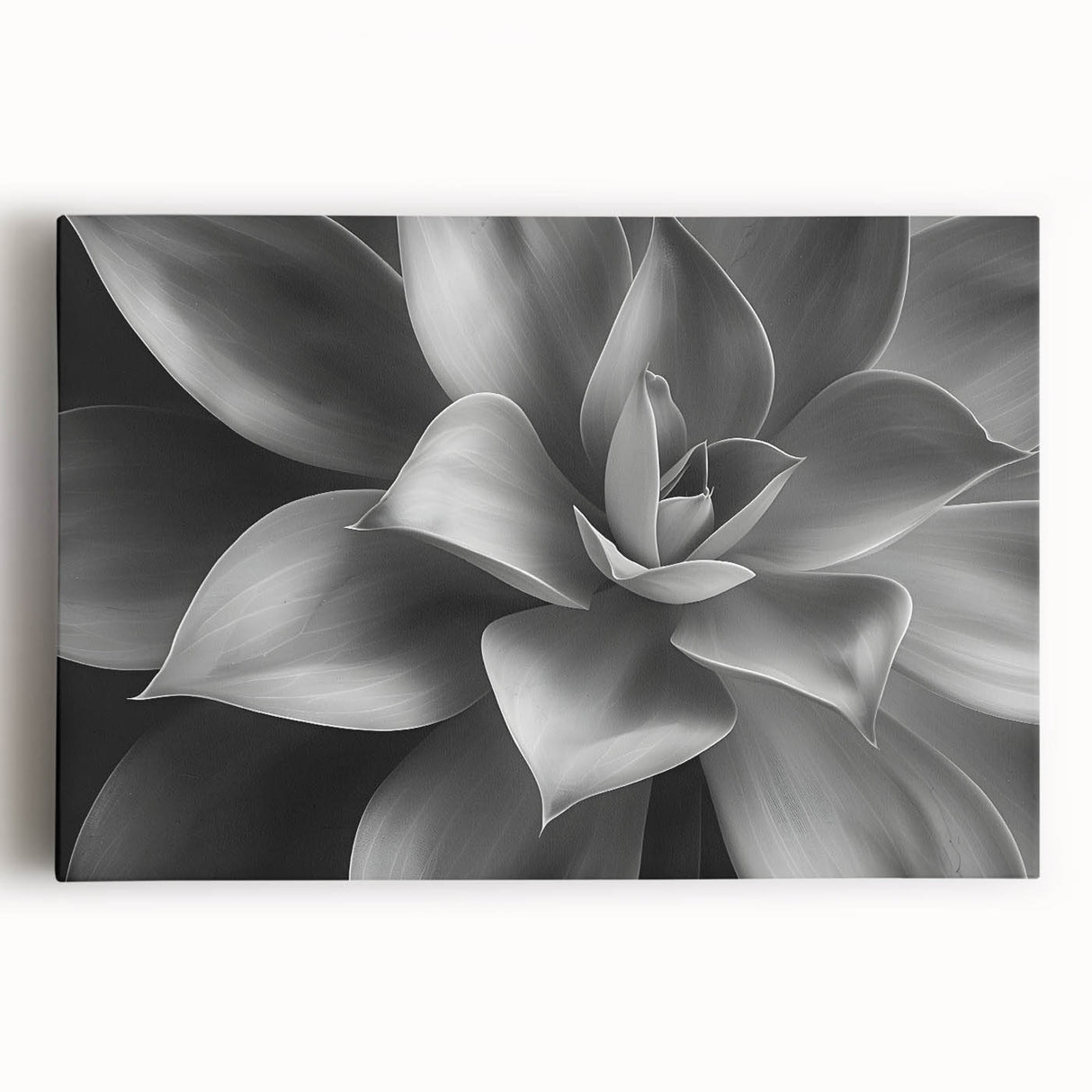 Black and white floral close-up on stretched canvas, ideal for kitchen wall art.
