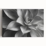 Black and white floral close-up on stretched canvas, ideal for kitchen wall art.