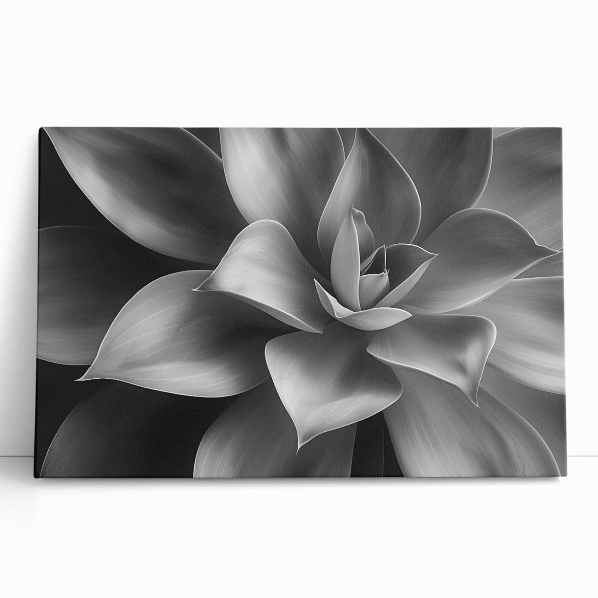 Black and white close-up floral photo on stretched canvas, ideal for kitchen wall art or bedroom ambiance.