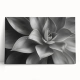Black and white close-up floral photo on stretched canvas, ideal for kitchen wall art or bedroom ambiance.