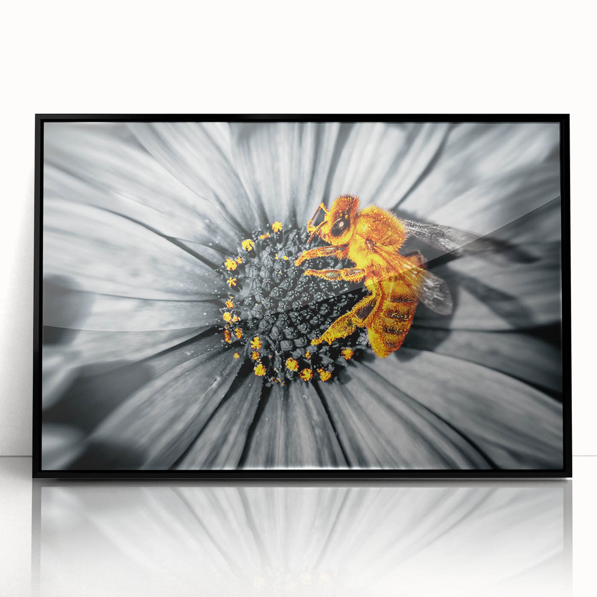Large abstract wall art featuring vibrant floral designs in a black acrylic frame, ideal for modern living room decor.