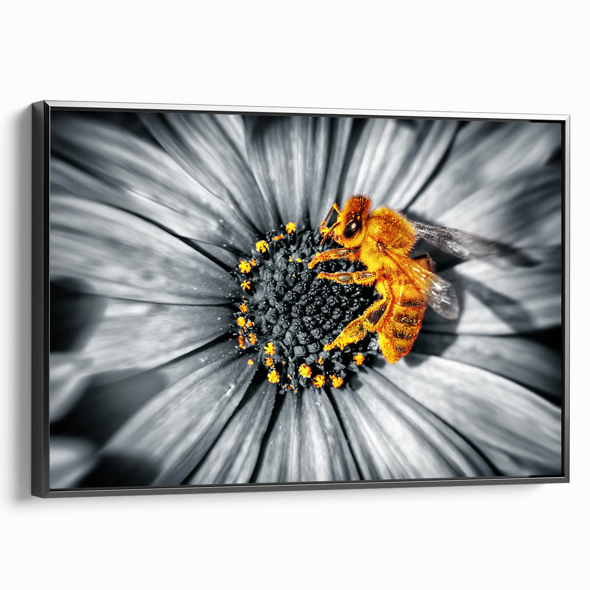 Black and white framed canvas featuring a detailed vintage floral design, ideal for bedroom wall art.