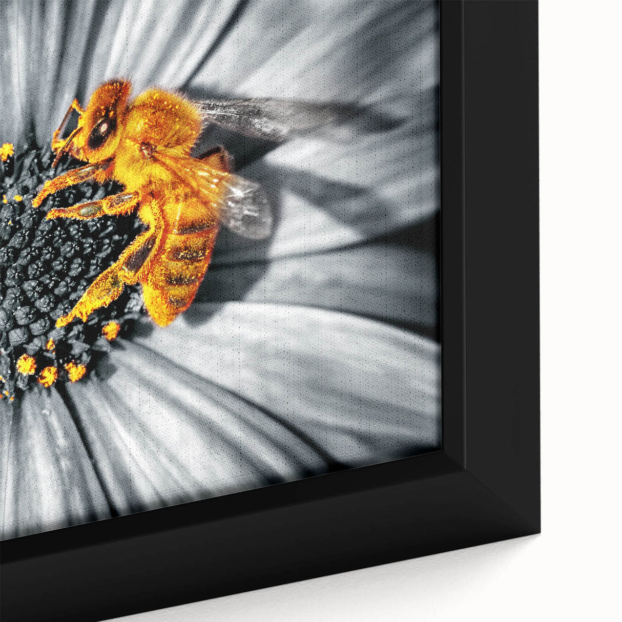 Extra large black wall art featuring a close-up floral design with colorful, textured paint on a framed canvas.