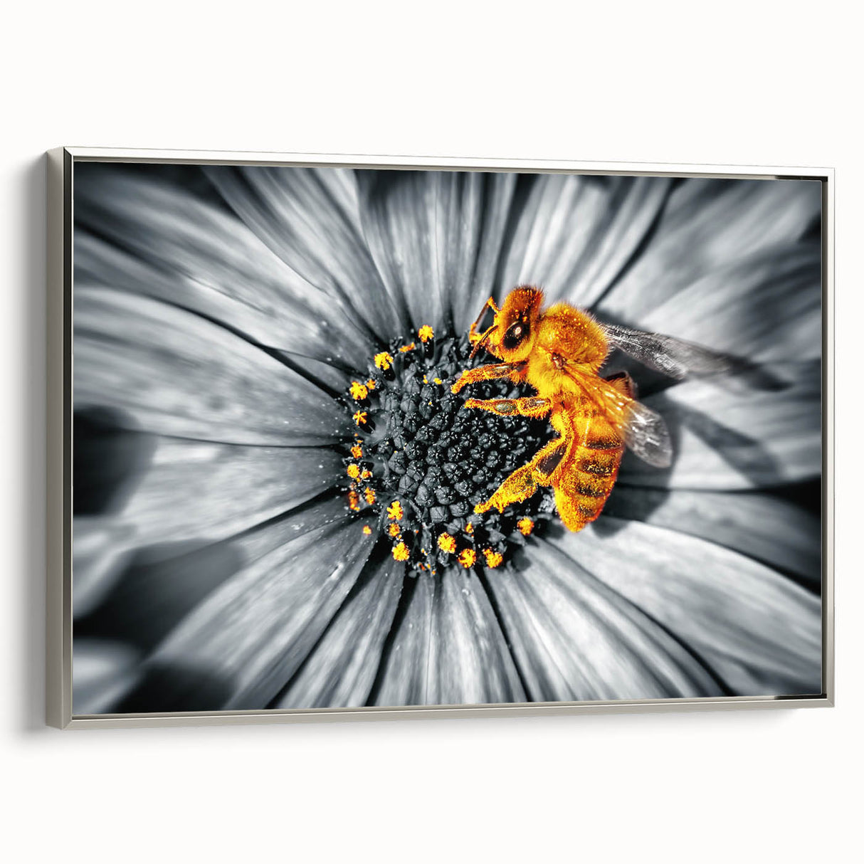 Framed canvas featuring a close-up floral design in vibrant colors on a black background.