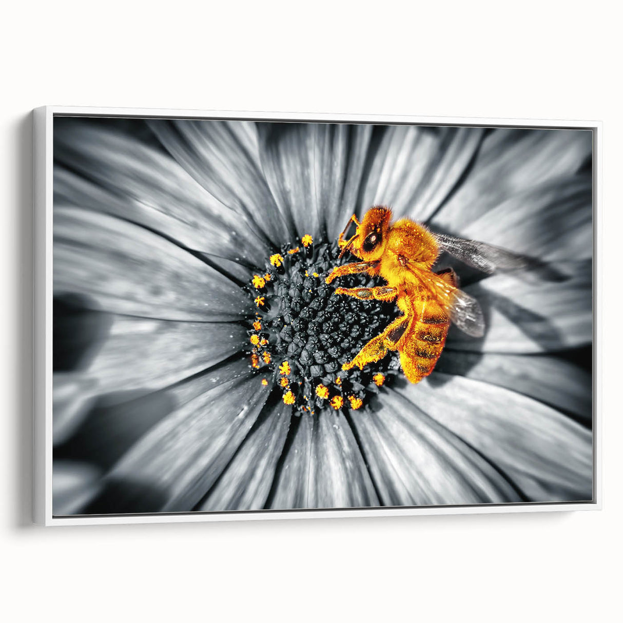 Vintage poster art of vibrant florals on a black background, framed canvas, ideal for living room decor.