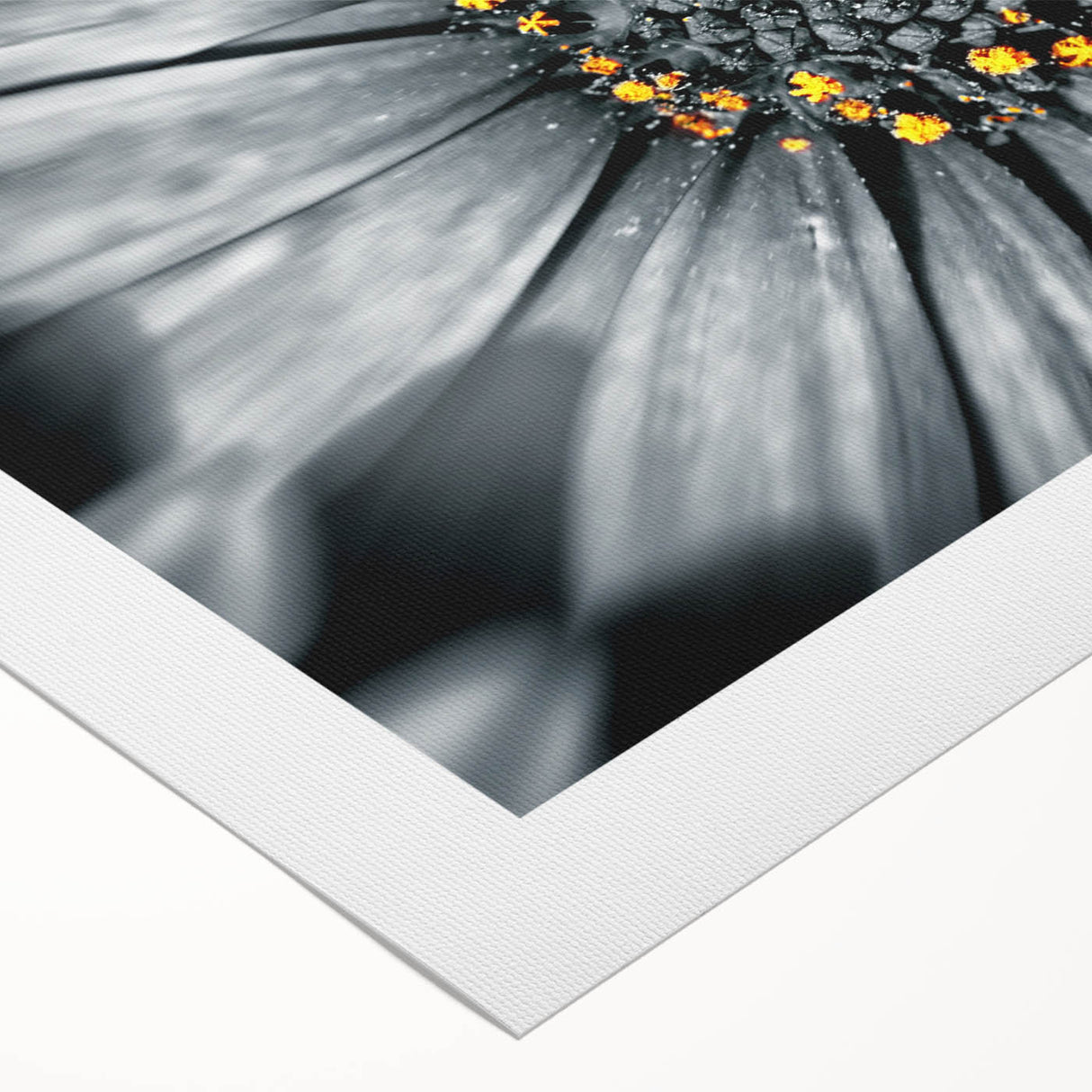 Extra large rolled canvas featuring a close-up floral design in art deco style, ideal for dining room wall art.