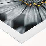Extra large rolled canvas featuring a close-up floral design in art deco style, ideal for dining room wall art.