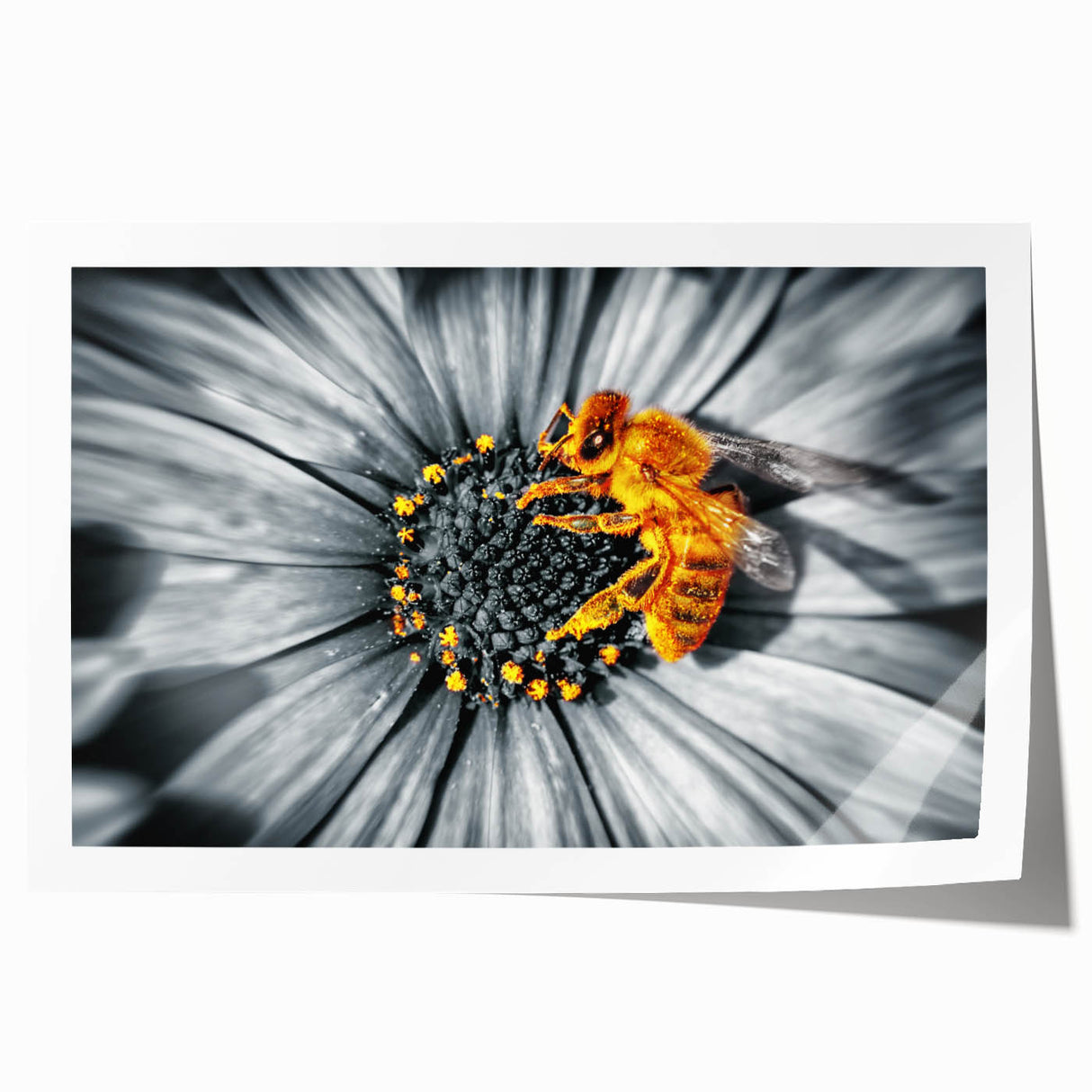 Close-up floral art in soft pastel shades on rolled canvas, suitable for dining room or bathroom decor.