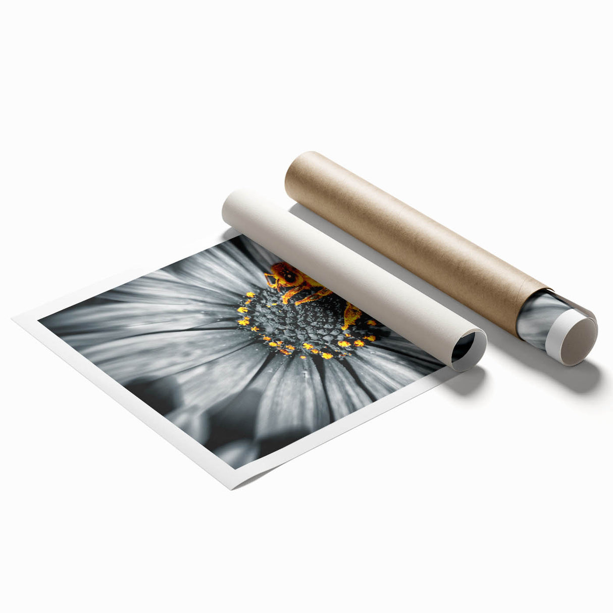 Extra large rolled print of a close-up floral design in soft pastel shades, ideal for classy bathroom wall art.