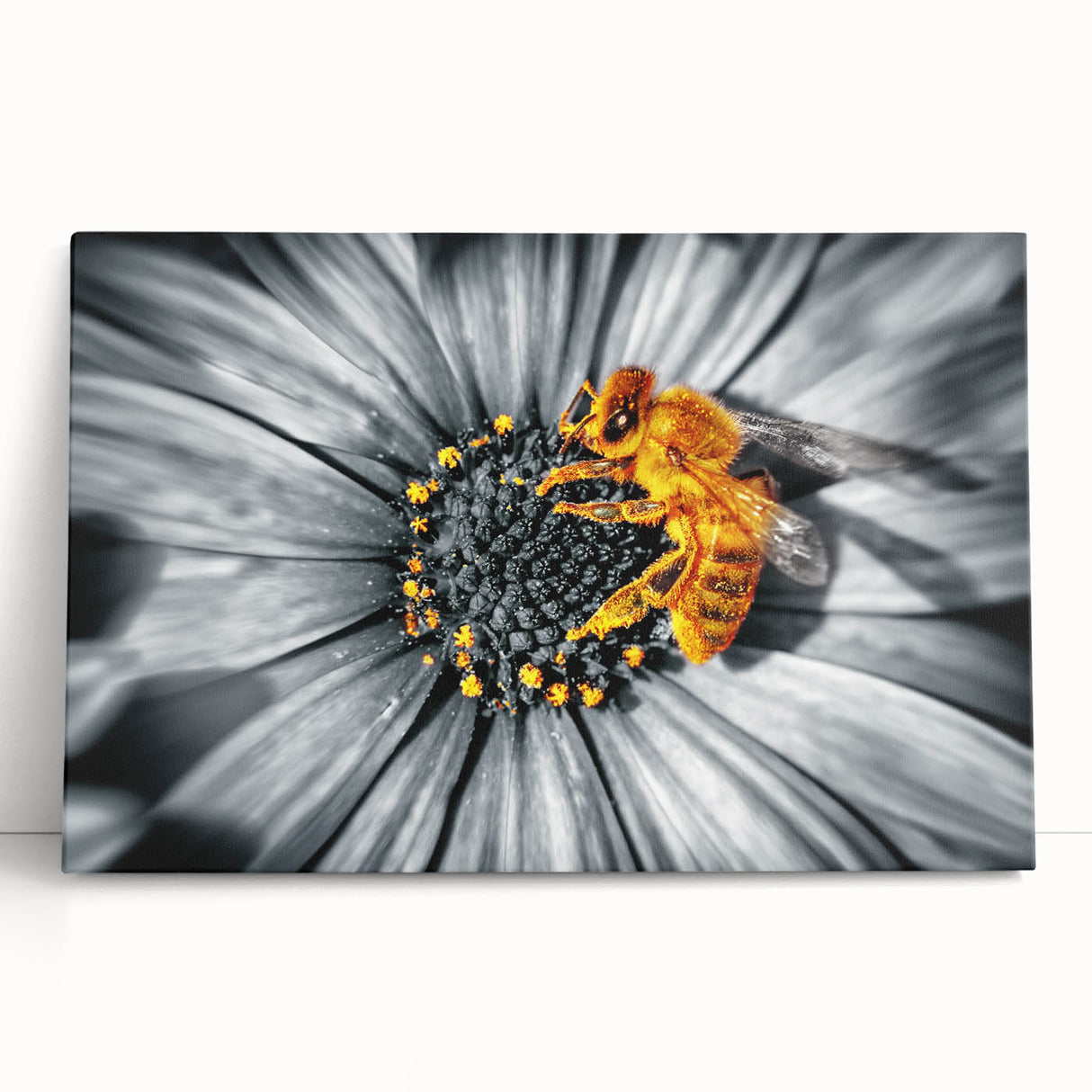 Black and white close-up floral photograph on stretched canvas, suitable as kitchen wall art or bedroom decor.