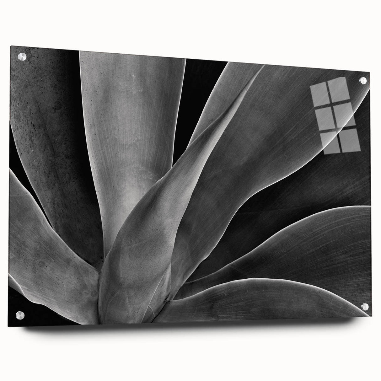Large abstract floral design in vibrant colors on acrylic glass, suitable for bedroom or dining room decor.