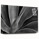 Large abstract floral design in vibrant colors on acrylic glass, suitable for bedroom or dining room decor.