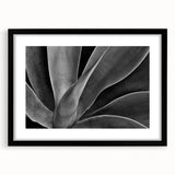 Extra large abstract art print featuring vibrant, textured florals on a black framed canvas, ideal for living room decor.