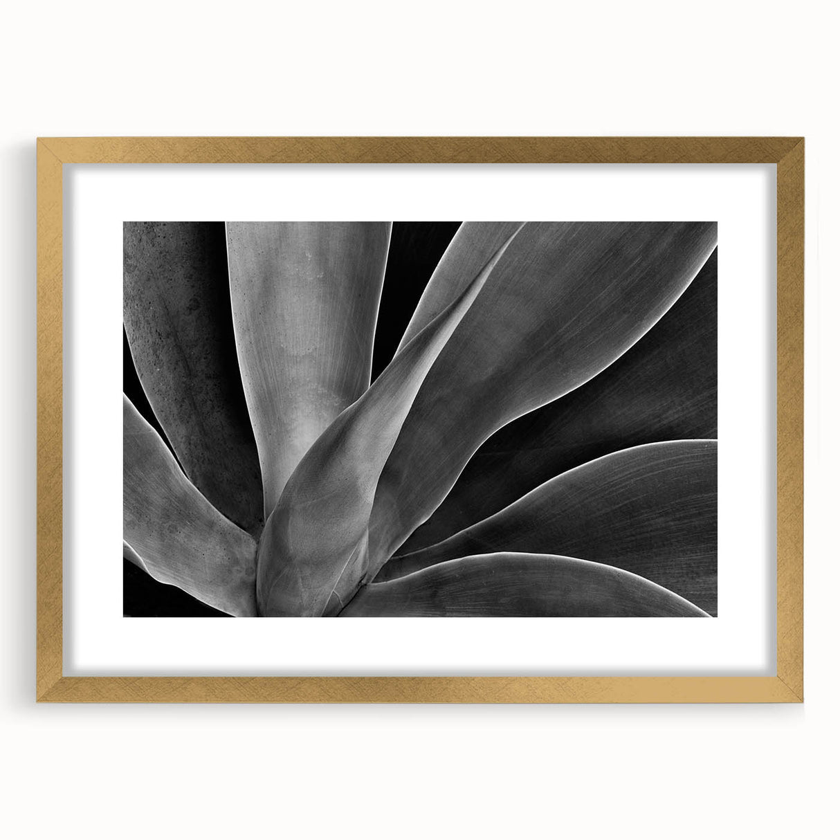 Extra large abstract art print featuring textured floral designs in soft pastel shades, framed in gold.