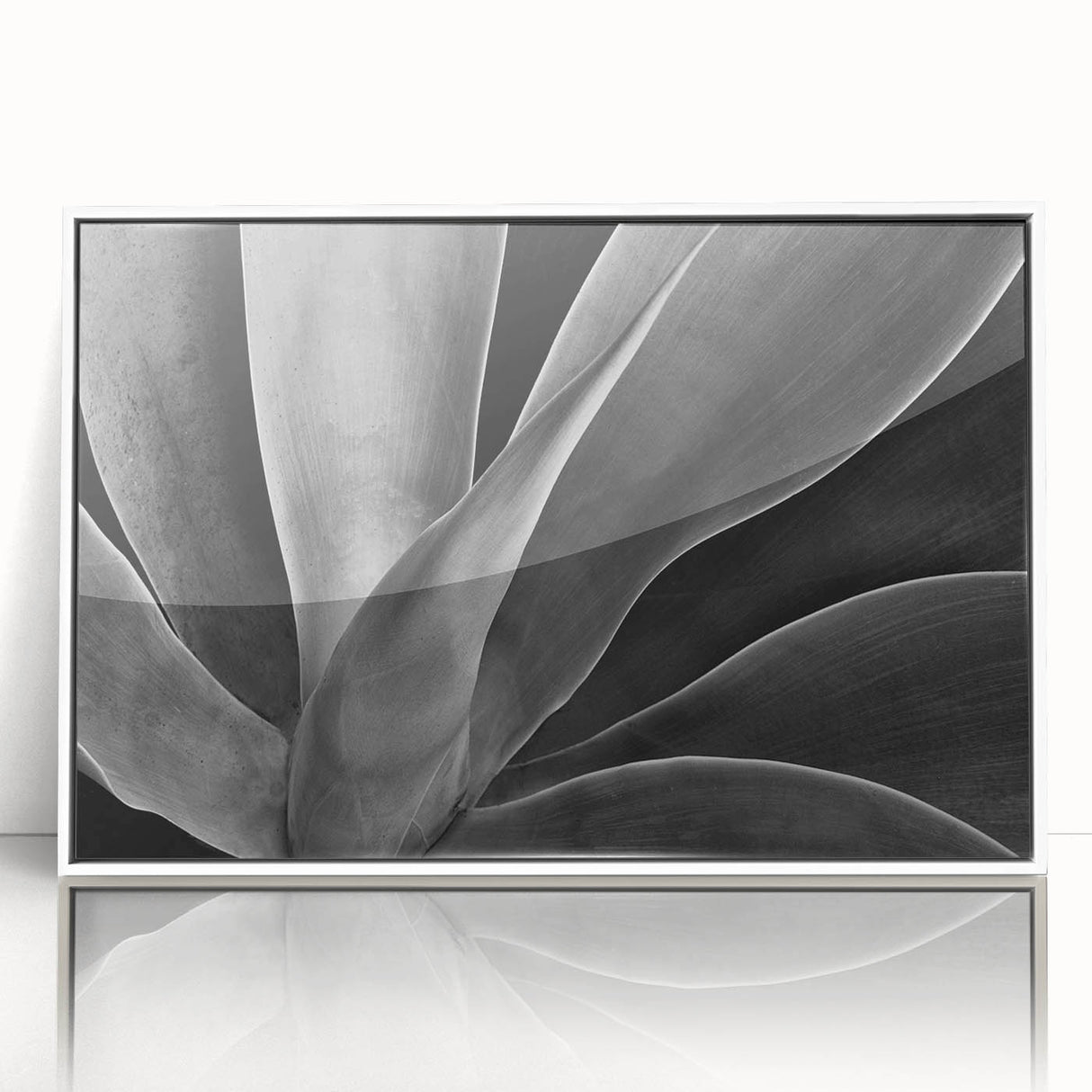 Art deco poster of vibrant floral close-ups in a white acrylic frame, ideal for modern nursery wall decor.