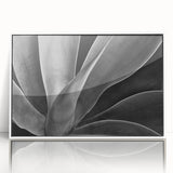 Art deco poster of vibrant floral close-ups in a white acrylic frame, ideal for modern nursery wall decor.