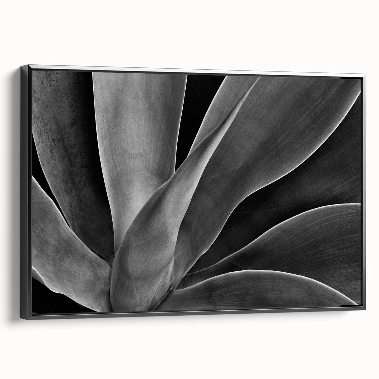 Black and white landscape art painting on framed canvas, featuring close-up floral designs, ideal for bedroom wall decor.