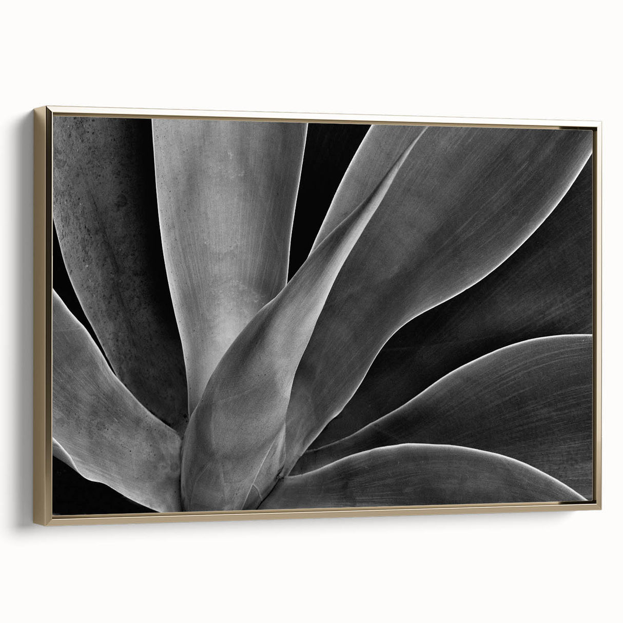 Framed canvas featuring a close-up floral design in muted gold and black tones, ideal for bedroom wall art.