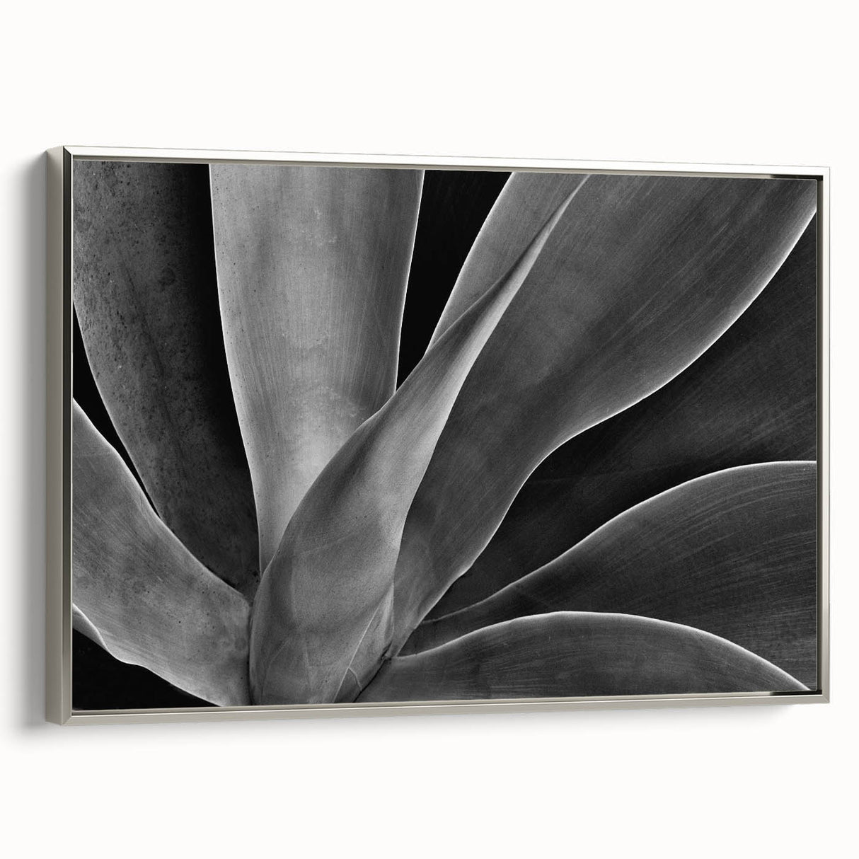 Framed canvas of a vintage-style landscape painting featuring colorful florals against a black background.