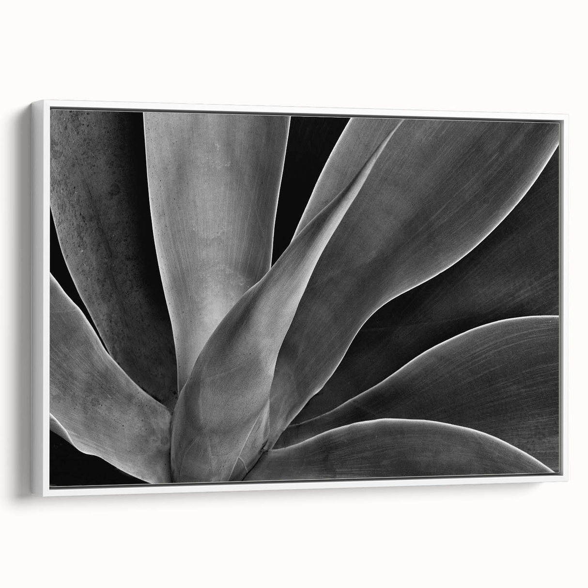 Extra large vintage poster art on framed canvas, featuring colorful florals against a black background.