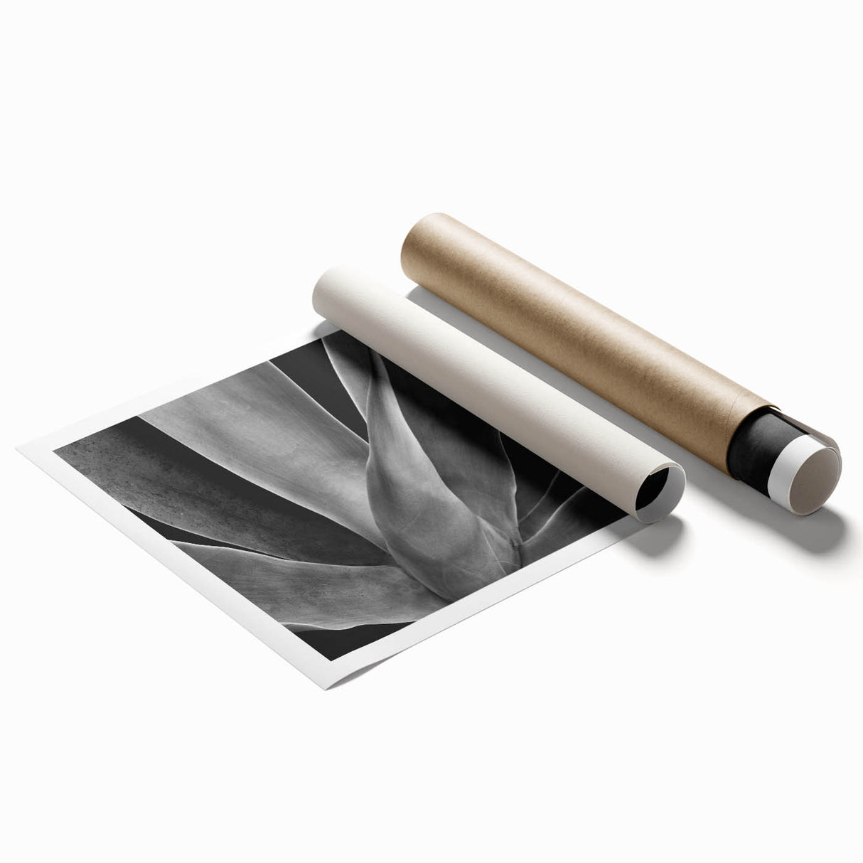 Extra large rolled print of close-up floral art in soft pastel shades, ideal for classy bathroom wall art.