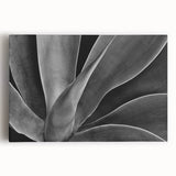 Black and white close-up floral photograph on stretched canvas, ideal for kitchen wall art or bedroom ambiance.