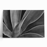 Close-up floral image in black and white on stretched canvas, suited for kitchen wall art.
