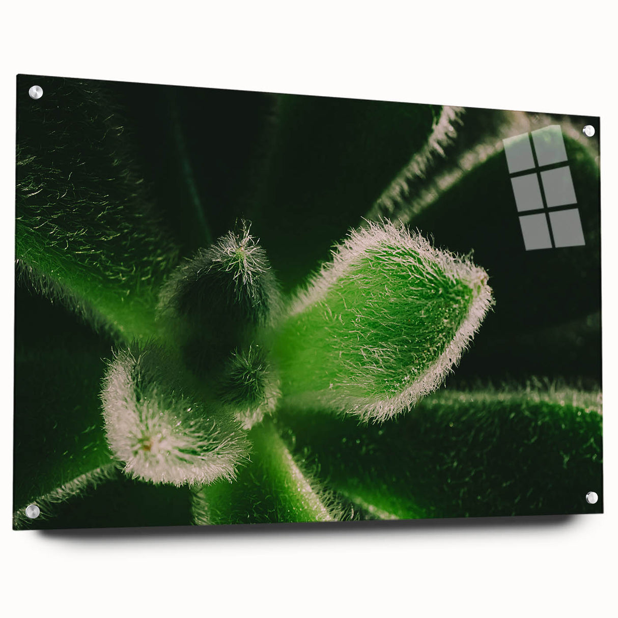 Close-up of a large abstract floral design in vibrant colors on acrylic glass, suitable for bedroom or dining room decor.