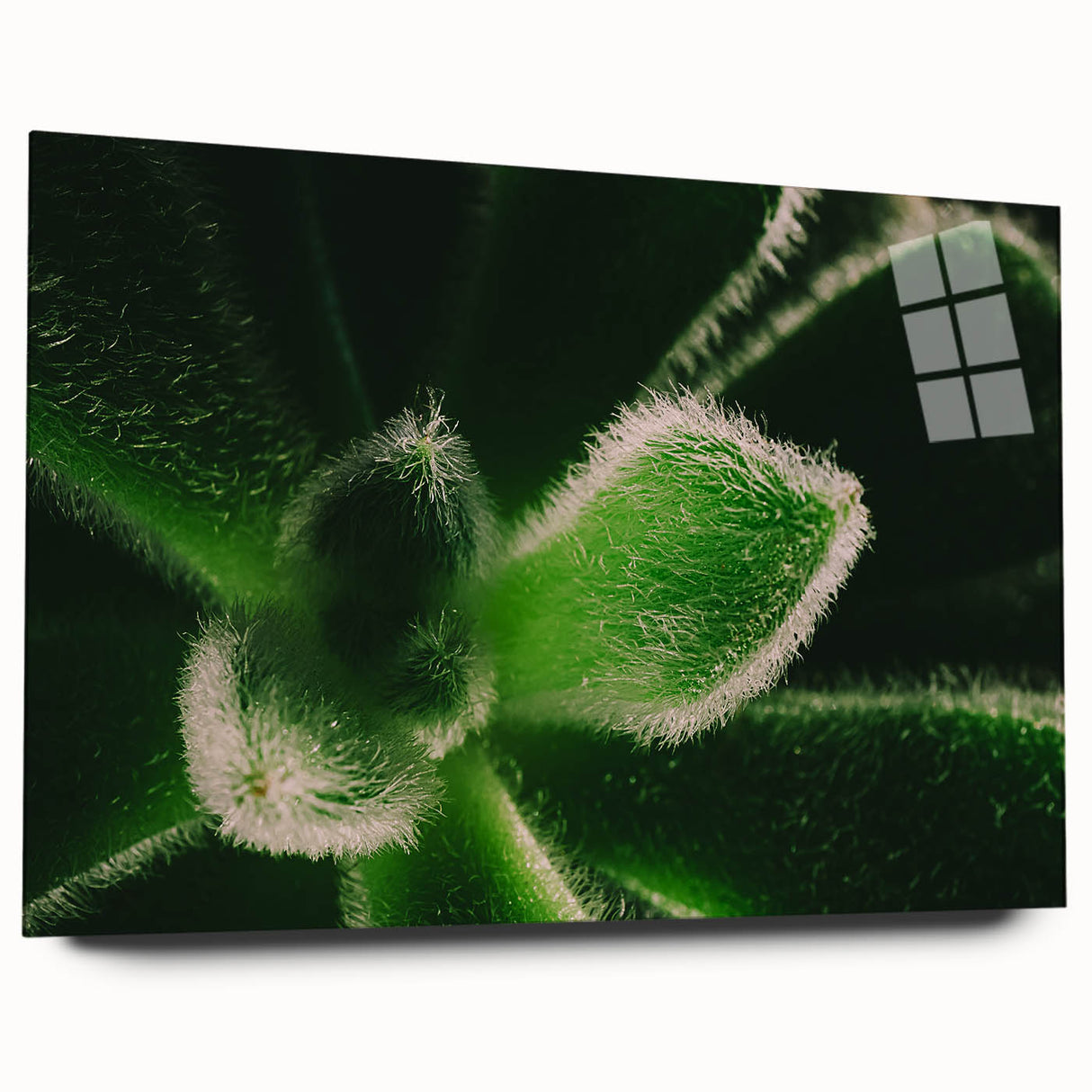 Large abstract floral design in vibrant blues and greens on acrylic glass, ideal for bedroom or dining room art.