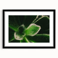 Extra large abstract art print featuring vibrant, colorful florals on a textured canvas, framed in black.