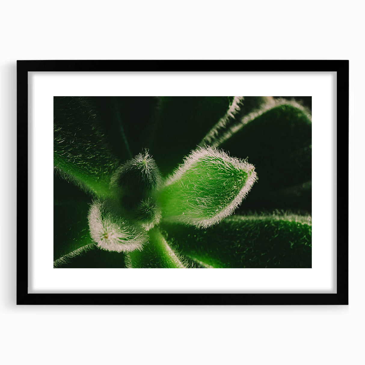Extra large abstract art print featuring vibrant, colorful florals on a textured canvas, framed in black.