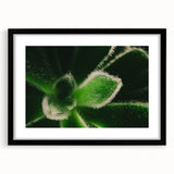 Extra large abstract art print featuring vibrant, colorful florals on a textured canvas, framed in black.