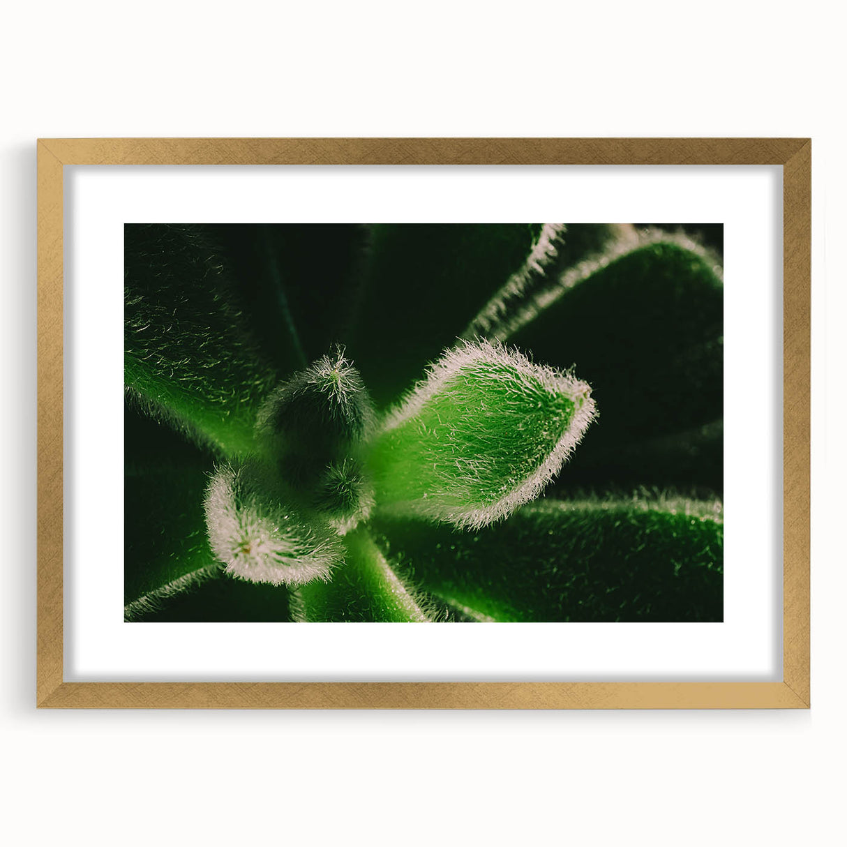 Extra large abstract art print featuring textured florals in pastel shades, framed in gold, ideal for living room decor.