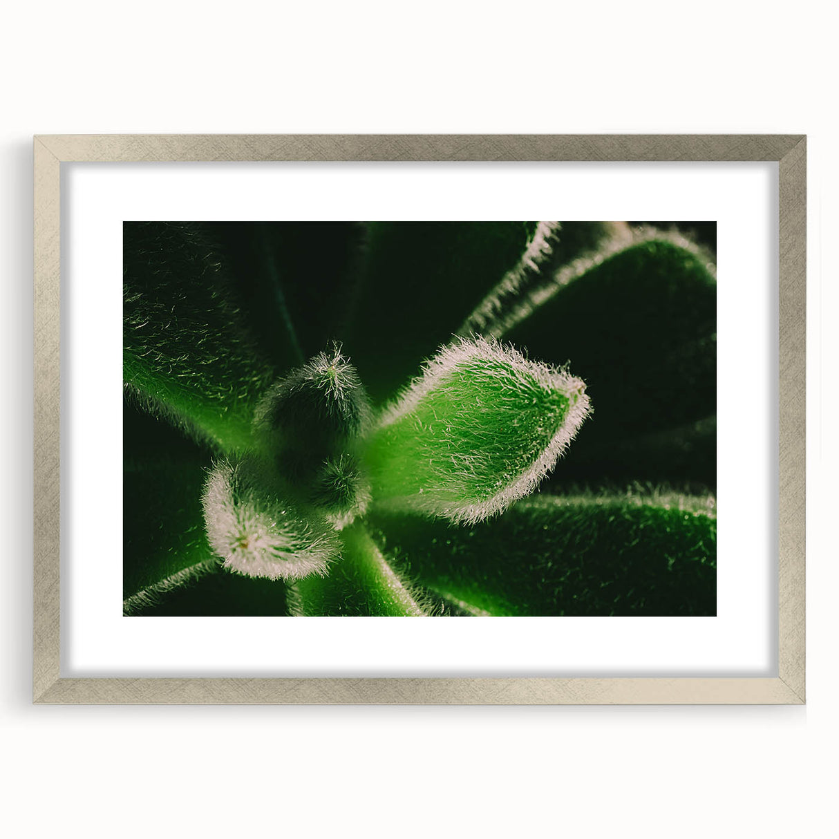Textured art print of abstract florals in silver frame, using soft gray and white tones, ideal for bedroom ambiance.