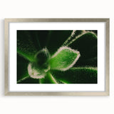 Textured art print of abstract florals in silver frame, using soft gray and white tones, ideal for bedroom ambiance.