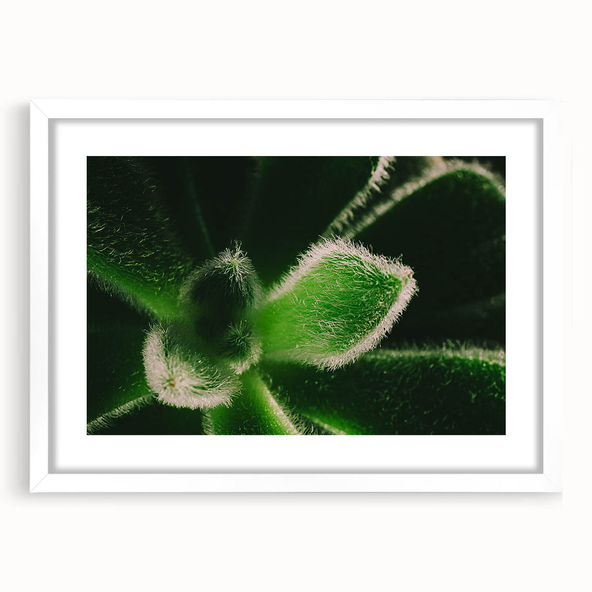 Abstract art print of multicolored florals, framed in white, ideal for dining room decor.