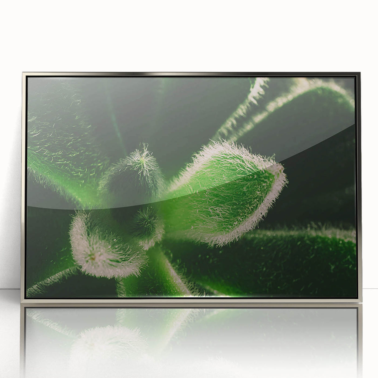 Mid-century modernist art featuring close-up floral designs in muted colors on a silver-framed acrylic.