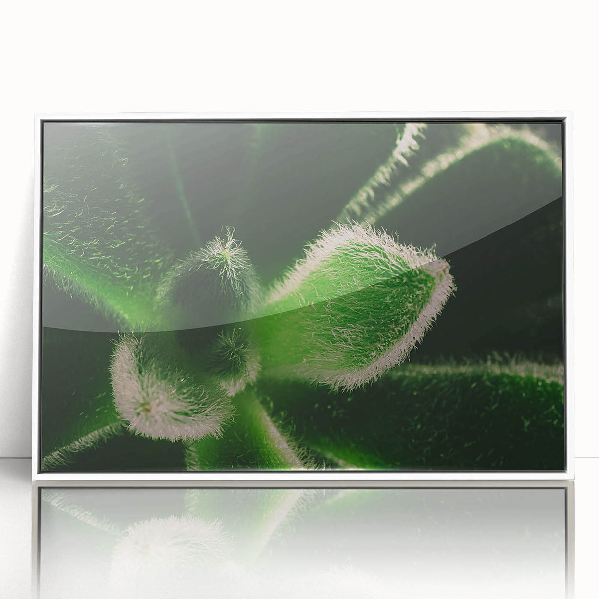 Art deco poster of vibrant floral close-ups, framed in white acrylic, ideal for nursery wall decor.